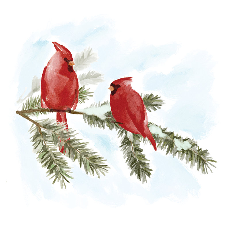 Two Cardinal On A Branch - Wrapped Canvas Print, 51cm H x 51cm W
