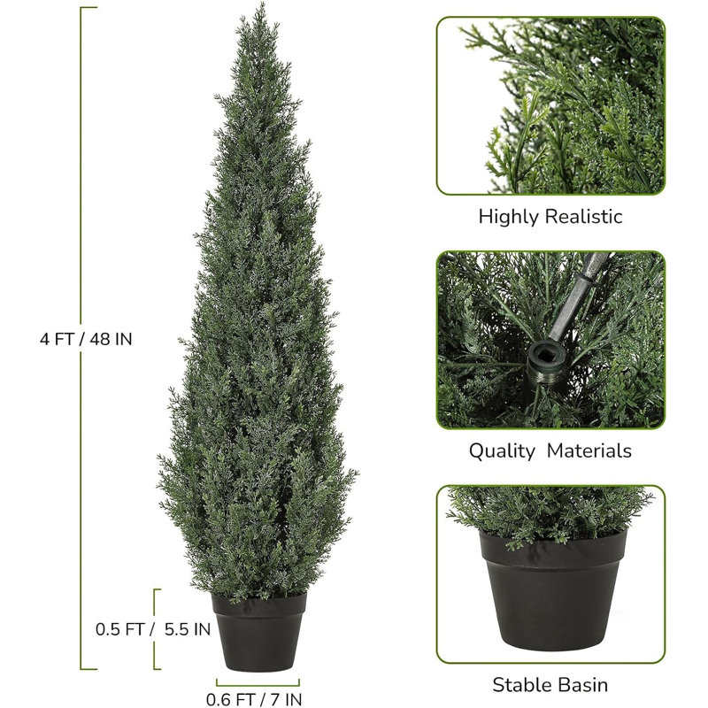 Plant, 125cm H x 18cm W