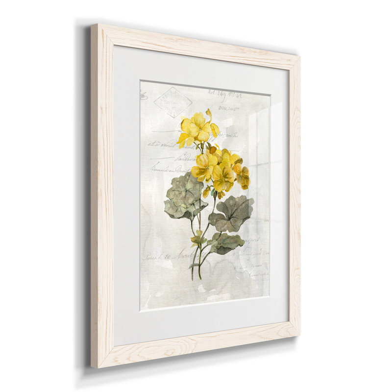 Zen Succulent III - Peinture encadrée sur papier, Blanc, H 20 po x l 17 po x P 1,5 po