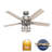 Hunter 52 inch Astwood II Ceiling Fan with Lights and Remote-110404137