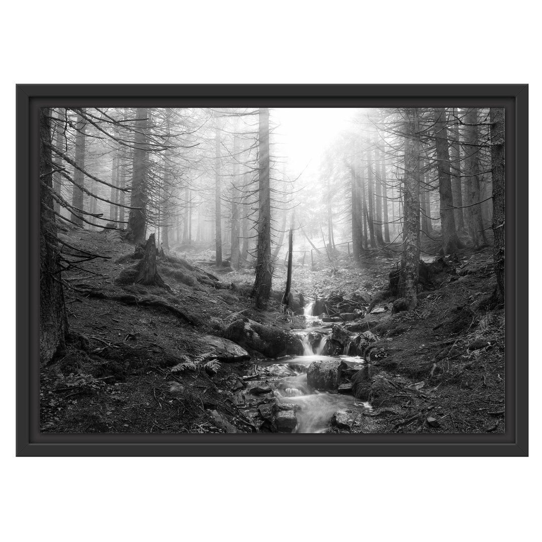 Gerahmtes Wandbild BachWald Kunst B&W