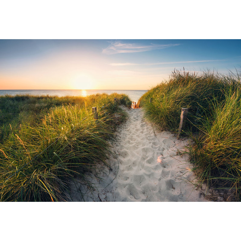 Way to the Beach Wall Mural