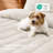 Bedsure Quilts– Ultra Soft Cloud Lightweight Bedspread Coverlet Set with 2 Pillow Shams, Breathable & Cozy Quilt Set for All Season Use-124979542-124979541