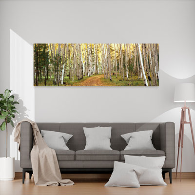 Aspen Trees in a Forest, Forêt nationale de Dixie, Utah, États-Unis, art abstrait contemporain, forêt d'automne