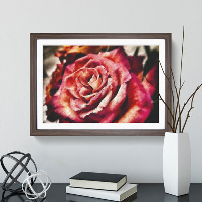 Pink Rose Flower Vol.4 - Framed Print