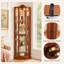 Élégante armoire d'angle sculptée à garniture en bois avec éclairage, chêne-1820026948