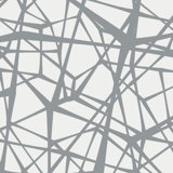 Web Geometric Vinyl Wallpaper Roll by Jamie Graney