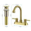 2-handle Bathroom Faucet with Drain Assembly-90763949