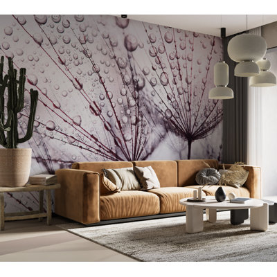 Papier peint floral - Pissenlit sous la pluie