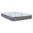 Sealy Dreamlife 12” Plush Foam Mattress-in-a-Box-99281085