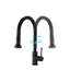 Robinet de cuisine rétractable noir mat - Fabrication en acier inoxydable, anti-rayures et rouille, bec rotatif à 360 °, fonction de jet avec fonction de pause antirouille, anti-rayures, bouton pivotant pour