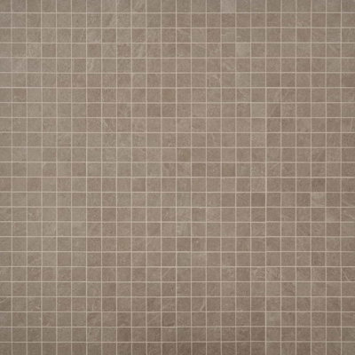 Era 2X2 Limestone Look Matte Porcelain Mosaic Tile