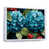 White Floater Framed