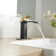 Single Hole Faucet Single-handle Bathroom Faucet with Drain Assembly