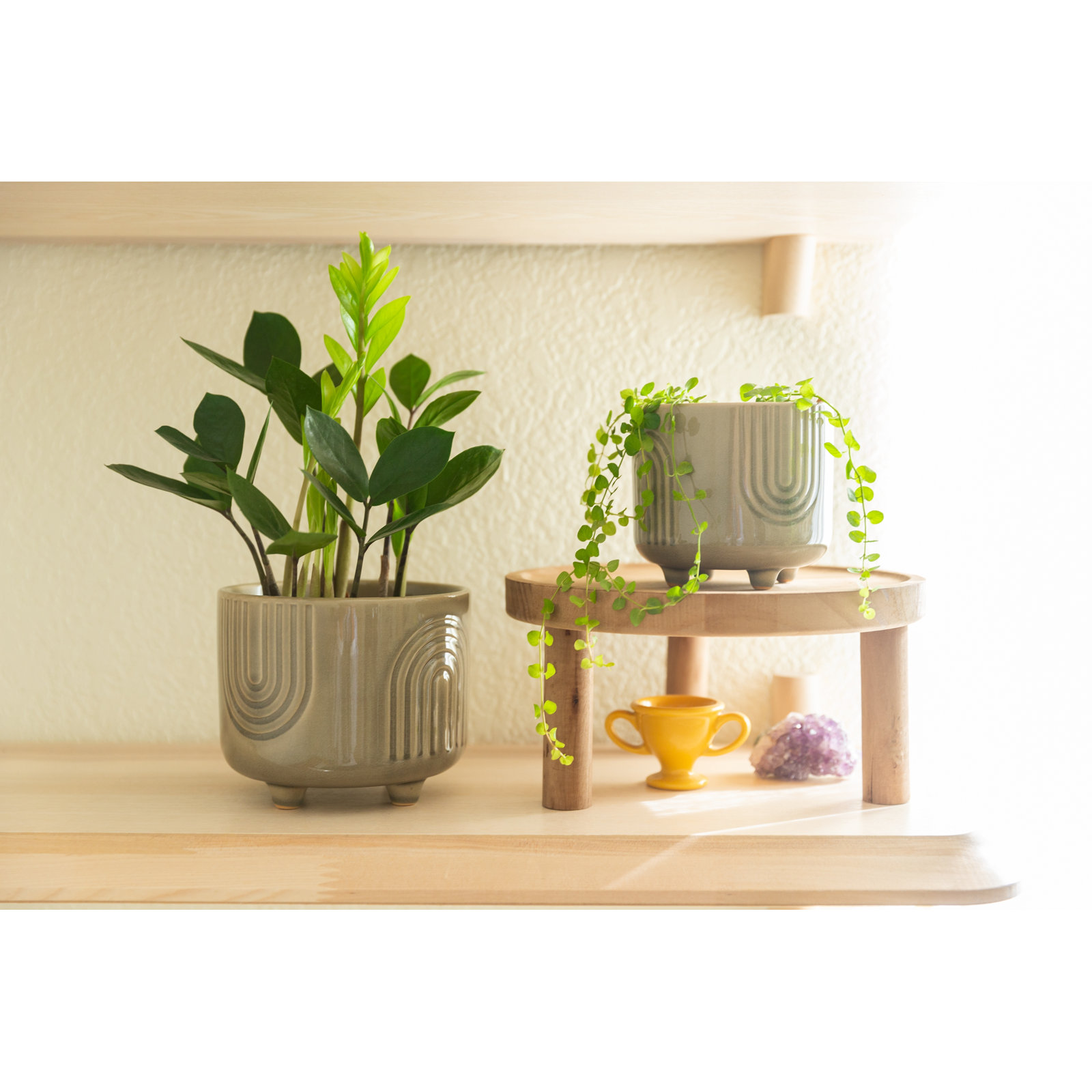 Martha 5" Ceramic Pot Planter, Olive Green