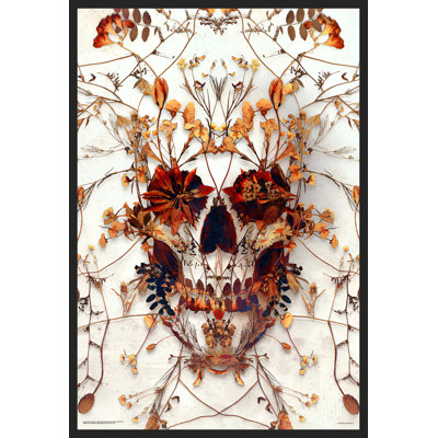 " Delicate Skull "