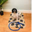 Paw Print Fleece Throw-73098254-73098255