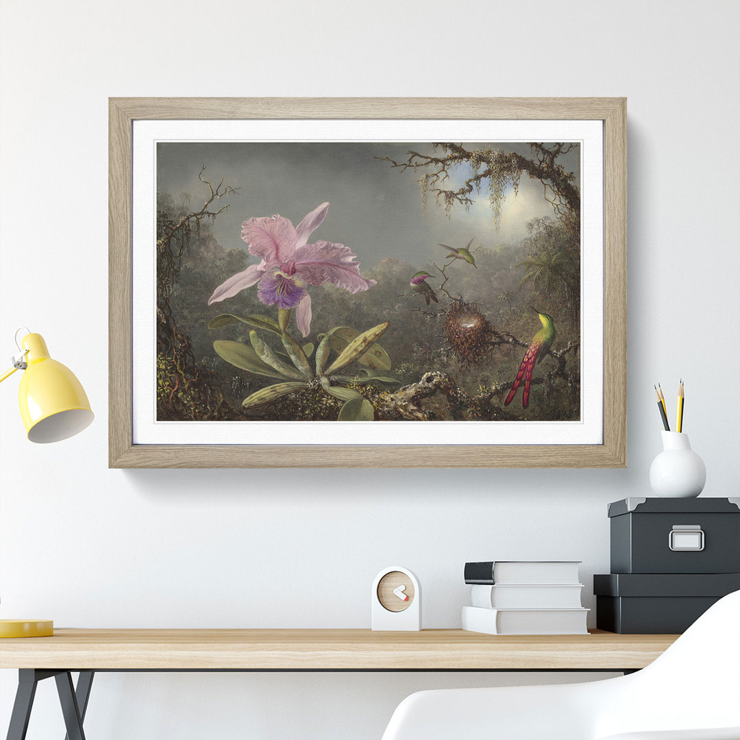 Cattleya Orchid and Hummingbirds by Martin Johnson Heade - Framed Print