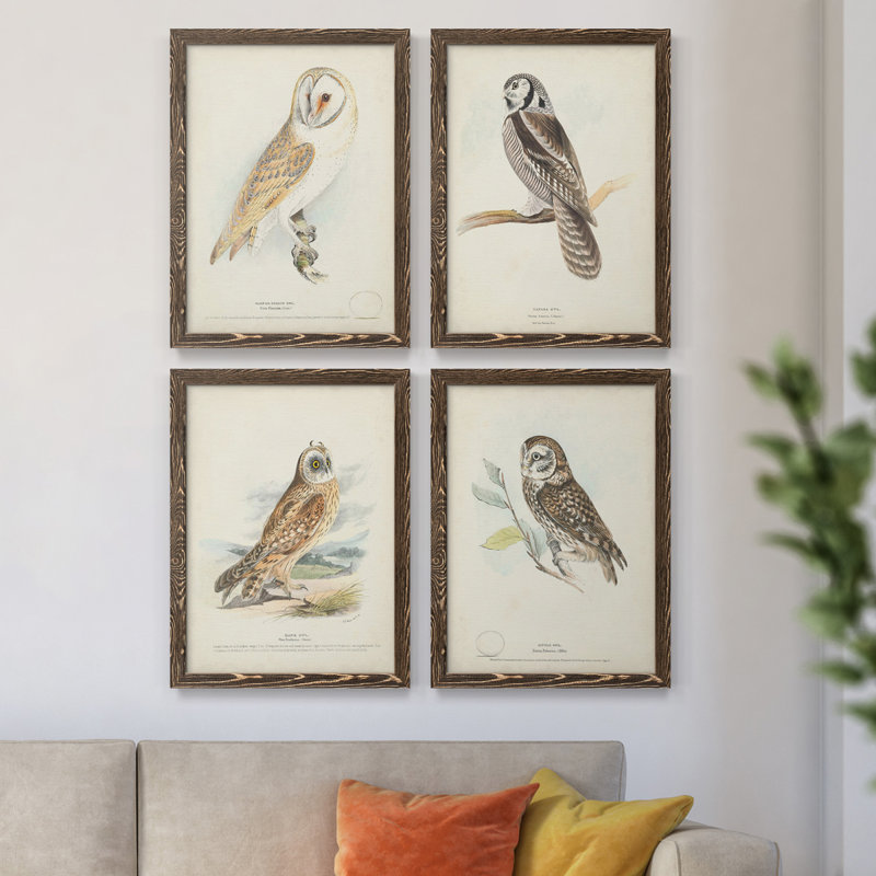 Toile encadrée de qualité supérieure Barn Owl - prête à être accrochée, Noyer, H 31,5 po x l 47 po x P 1,5 po