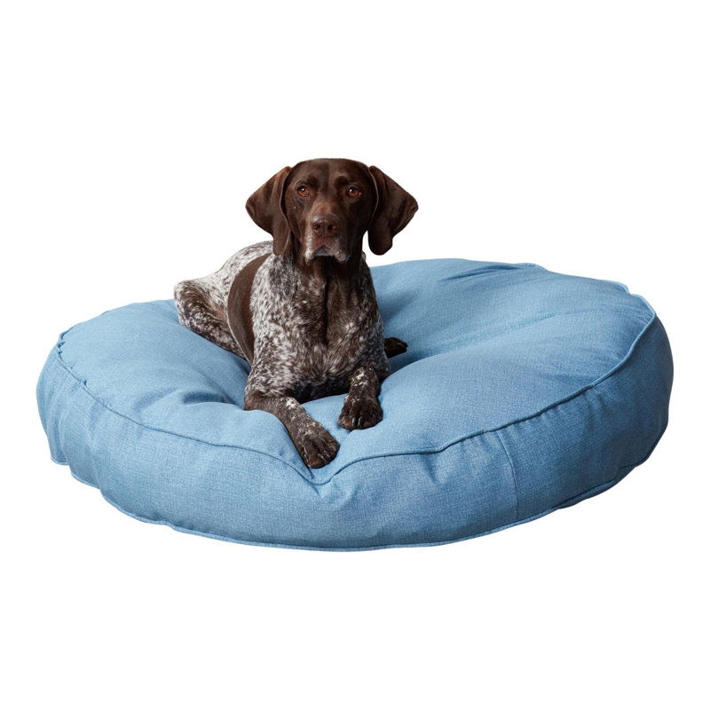 Lit-coussin pour chien Gordie, Très grand (l 42 po x P 42 po x H 6 po), Bleu