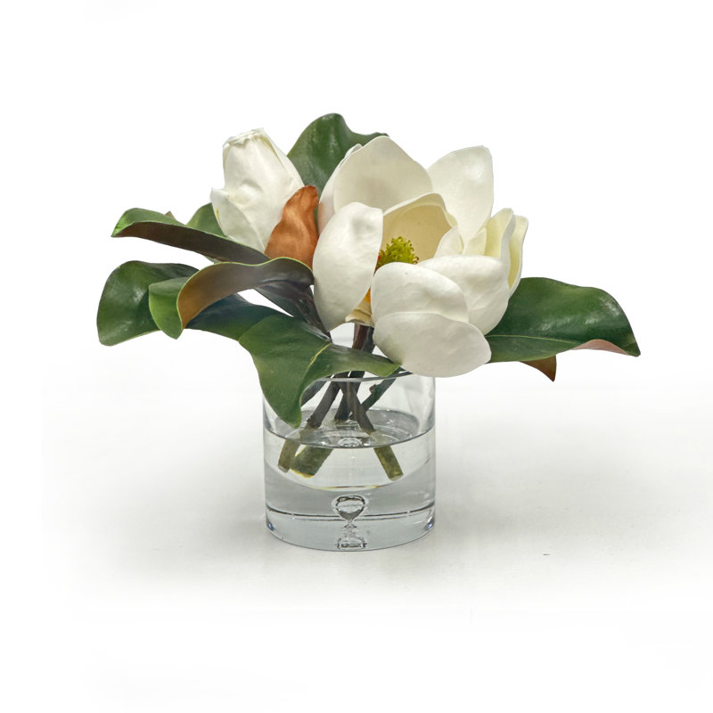 MAGNOLIA IN VASE