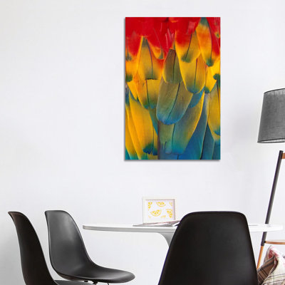 Scarlet Macaw Close-Up Of Colorful Feathers 1 Piece Wrapped Canvas Wall Art