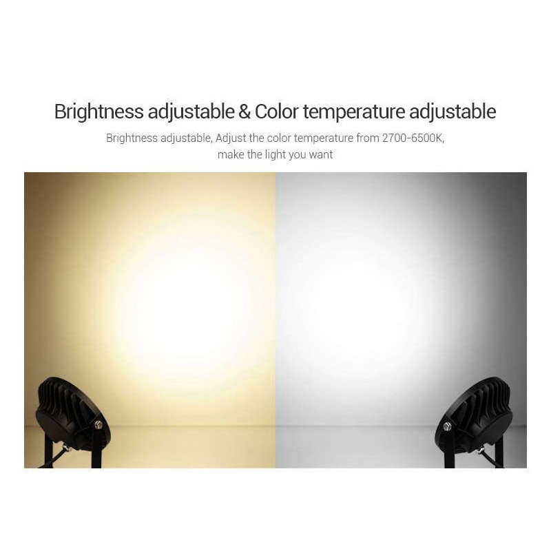 Calila LED Projection & Strobe Lights