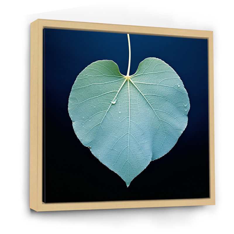 Impressions de feuilles subtiles bleu sarcelle tendresse II, H 36 po x l 36 po x P 1,5 po, Cadre naturel flottant