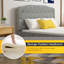 Evtim Upholstered Headboard-2024206103