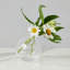 Glass Sphere Bud Vase-768581685
