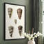 Impression encadrée Cone Shell Collection III - bois massif-681125296-681125297