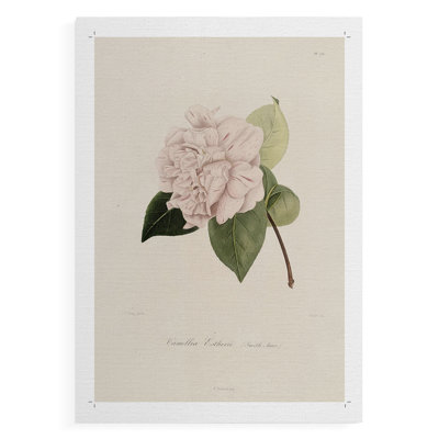Imprimé floral rétro CXCI - impression sur toile seulement - non encadrée