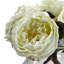 Centre de table Fancy Roses-21168233