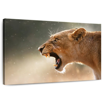 Brampt majestueux lionne