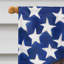 Polyester à 2 côtés 28 x 40 po drapeau maison-1879433825