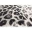 Burdick Animal Print Area Rug-35524563