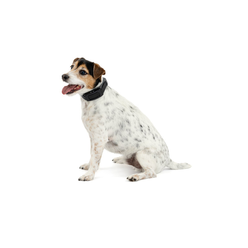 Petsafe® Guardian® Gps 2.0 Dog Fence + Tracking