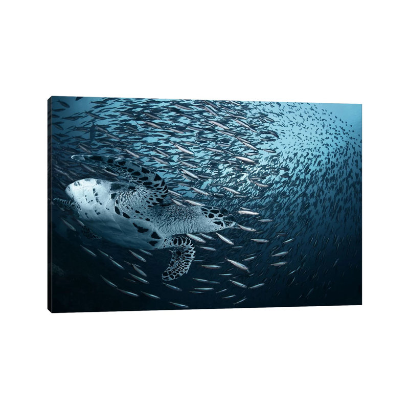 Bend by Andrey Narchuk - Wrapped Canvas Print, 66.04cm H x 101.6cm W x 1.905cm D
