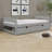 Platform Bed, With Two Drawers-1873504778