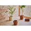Awa Planter-662913802-662913803