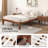Pastora Full / Double 14'' Platform Bed-1794983880