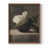 Noyer