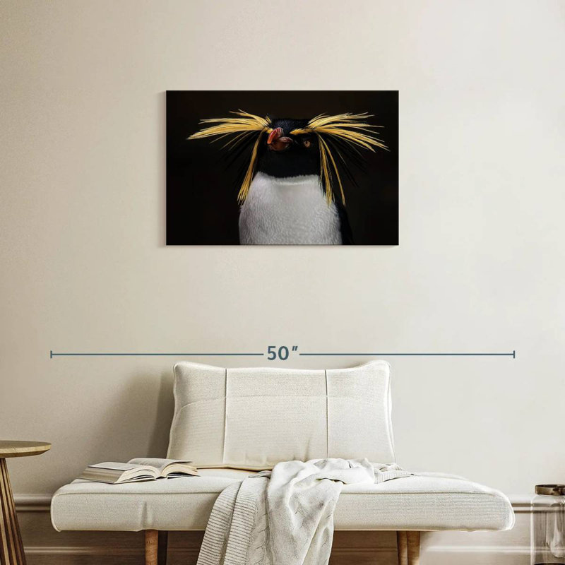 Pingouin, H 20 po x l 30 po