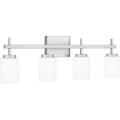 4 - Light Dimmable LED Vanity Light