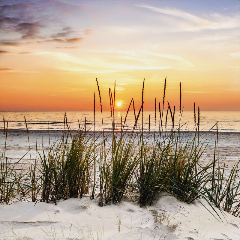 Lonely Dune - Print on Canvas, Wrapped Canvas, 27cm H x 27 W x 1.3cm D