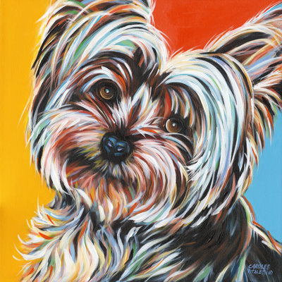 " Sweet Yorkie II "