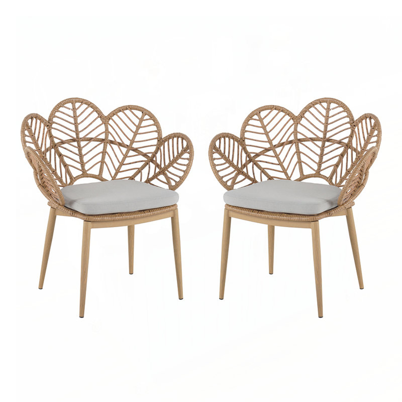 Chaise d'extérieur en forme de paon en osier, faux rotin, ensemble de 2