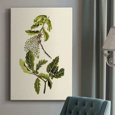 " Olive Greenery III " Painting Print