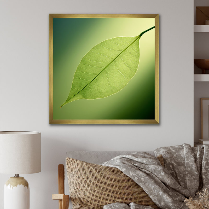 «Lime Lightness Leafy Minimalisme I - Feuilles», impressions sur toile, H 30 po x l 30 po x P 1 po, Cadre doré simple