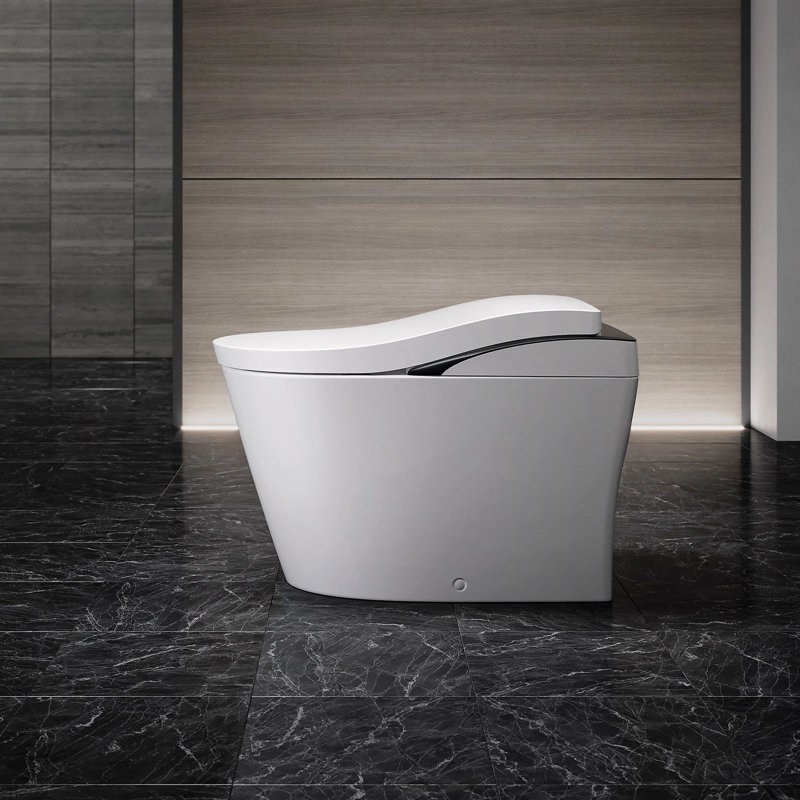 Neorest® Bidet Toilet, Cotton/Black